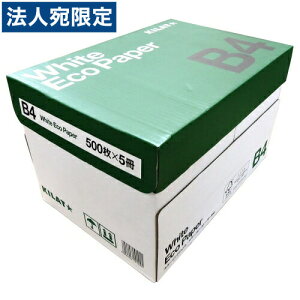 Lbg zCgGRy[p[ B4TCY 1 2500i500×5jwiꕔn揜jx