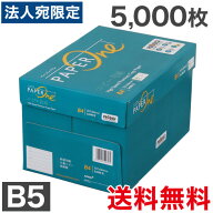 『最安挑戦』コピー用紙 B5 5000枚 (500枚×10冊) ペーパーワン (PAPER ONE) 高白色 プロデジ高品質 保存…