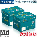 最安挑戦コピー用紙 A5 10000枚 (5000枚×2箱) ペーパーワン (PAPER ONE) 高白色 プロデジ高品質 保存箱仕様 PEFC認証…