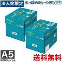 最安挑戦コピー用紙 A5 10000枚 (5000枚×2箱) ペーパーワン (PAPER ONE) 高白色 プロデジ高品質 保存箱仕様 PEFC認証…
