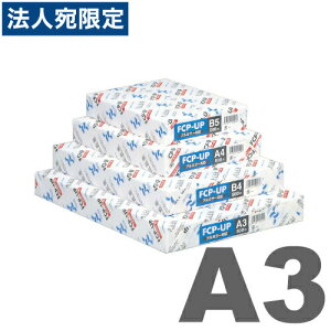 �R�s�[�p�� A3 �t���J���[ FCP-UPII 500�� ���{����