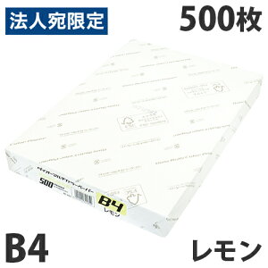 yFSCF؁zJ[Rs[p _CI[J[}`y[p[ B4  500 F `V DM ē f zz J[y[p[ GR X