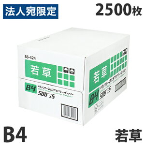 yFSCF؁zJ[Rs[p _CI[J[}`y[p[ B4 ᑐ(CgO[)2500  `V DM ē f zz J[y[p[ GR Xwiꕔn揜jx