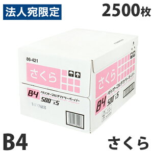 yFSCF؁zJ[Rs[p _CI[J[}`y[p[ B4 (CgsN)2500 `V DM ē f zz J[y[p[ GR Xwiꕔn揜jx