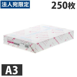 Rs[p A3 Ncolor157 250 xmtCwiꕔn揜jx