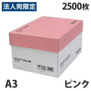 J[Rs[p sN A3 2500wiꕔn揜jx