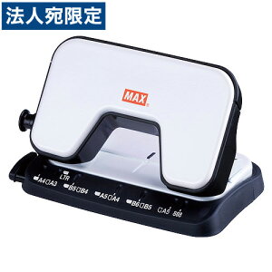�}�b�N�X MAX �X�N�[�o�p���` �� �z���C�g DP-15T/W