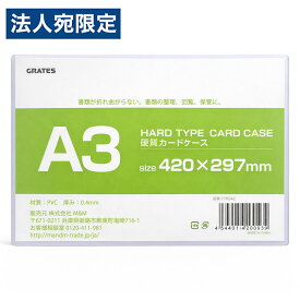 硬質カードケース A3 1枚 硬質ケース