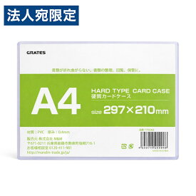 硬質カードケース A4 1枚 硬質ケース