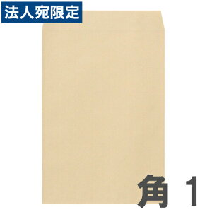 Ntg p1 85g/ X֘g 100