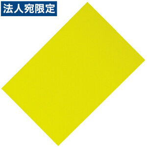 }OlbgV[g 200×300  5 CS-203-Y