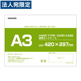 硬質カードケース A3 1枚 硬質ケース