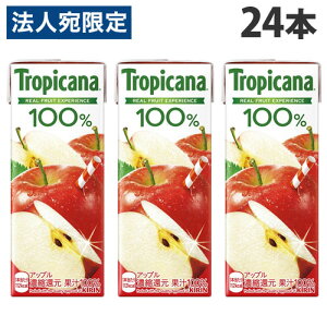 L gsJ[i 100 Abv 250ml×24{  KIRIN W[X ybg{g t[cW[X