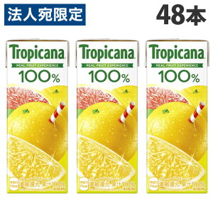 L gsJ[i 100 O[vt[c 250ml×48{  KIRIN W[X ybg{g t[cW[Xwiꕔn揜jx