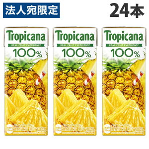 L gsJ[i 100 pCAbv 250ml×24{  KIRIN W[X ybg{g t[cW[X