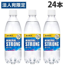 伊藤園 ミネラルストロング 強炭酸水 500ml×24本 炭酸 炭酸飲料 スパークリングウォーター 割材 炭酸水