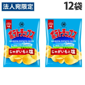 コイケヤ ポテトチップス じゃがいもと塩 60g×12袋 食品 お菓子 菓子 スナック菓子 ポテチ