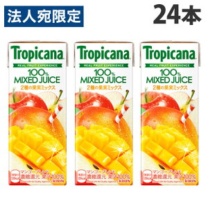 L gsJ[i100}S[uh 250ml×24{  KIRIN W[X pbN t[cW[X