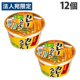 大黒食品 マイフレンドBIG カレーうどん 105g×12個 カップメン カップ麺 インスタント カップうどん うどん