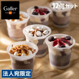 Galler(ガレー) チョコレートアイスパルフェ 12個セット ギフト 贈答品 贈り物 スイーツ デザート アイス ガレー 『日時指定不可』『代引不可』『送料無料（一部地域除く）』