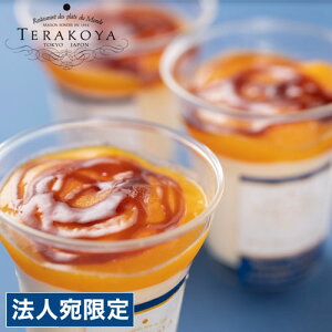 TERAKOYAďC Z}S[v 6Zbg Mtg i 蕨 XC[c fU[g ؉َq wwsxwsxwiꕔn揜jx