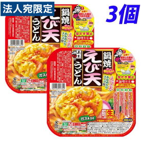 五木食品 鍋焼えび天うどん 220g×3個 うどん インスタント食品 直火 レトルト 即席麺 麺類 食品