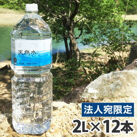 霧島 天然水 2L×12本 水 ミネラルウォーター 飲料 軟水 国内天然水 ナチュラルウォーター『送料無料（一部地域除く）』