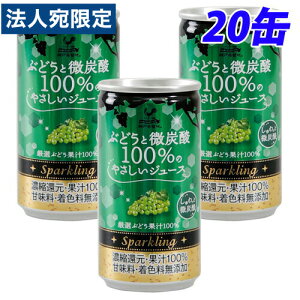 神戸居留地 ぶどうと微炭酸 100% 缶 185ml×20缶 缶ジュース 飲料 ドリンク 炭酸飲料 炭酸ジュース ソフトドリンク 缶 ぶどうジュース グレープジュース