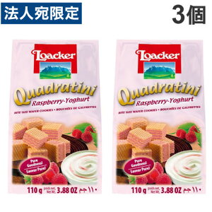 AJ[ EGn[X Yx[[Og NheB[j 110g 3 [J[