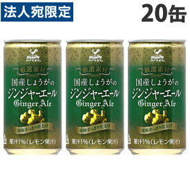 富永貿易 神戸居留地 国産生姜ジンジャーエール 缶 185ml×20缶