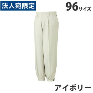 ��100���j�b�J�Y�{���i�H�~�p�j96 �A�C�{���[ 41611 ��ƕ� ��ƒ� ���j�z�[�� �Ȃ� ���d�� ��� ���w����s�x