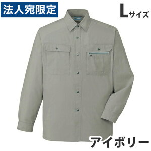 100VcitėpjL AC{[ 45604 ƕ ƒ jz[ Ȃ d  wsx