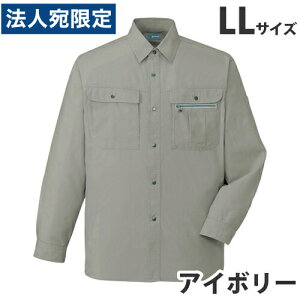 100VcitėpjLL AC{[ 45604 ƕ ƒ jz[ Ȃ d  wsx