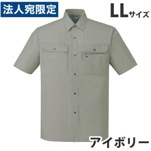 100VcitėpjLL AC{[ 45614 ƕ ƒ jz[ Ȃ d  wsx