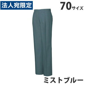 100c[^bNpcitėpj70 ~Xgu[ 45601 ƕ ƒ jz[ Ȃ d  wsx