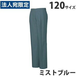 100c[^bNpcitėpj120 ~Xgu[ 45601 ƕ ƒ jz[ Ȃ d  wsx