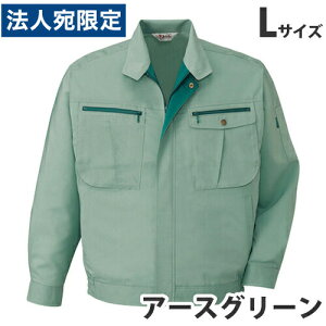 Xgb`u]itėpjL A[XO[ 45900 ƕ ƒ jz[ Ȃ d  wsxwiꕔn揜jx