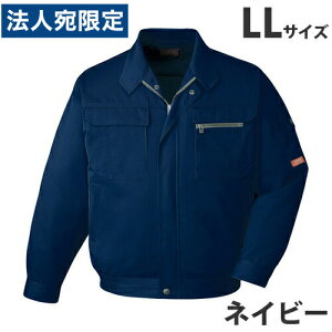 T/Cu]iH~pjLL lCr[ 42000 ƕ ƒ jz[ Ȃ d  wsxwiꕔn揜jx