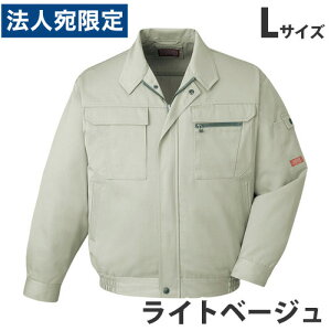 T/Cu]iH~pjL Cgx[W 42000 ƕ ƒ jz[ Ȃ d  wsxwiꕔn揜jx