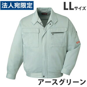 T/Cu]iH~pjLL A[XO[ 42000 ƕ ƒ jz[ Ȃ d  wsxwiꕔn揜jx