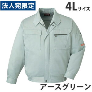 T/Cu]iH~pj4L A[XO[ 42000 ƕ ƒ jz[ Ȃ d  wsxwiꕔn揜jx