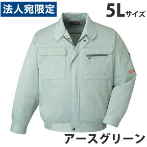 T/Cu]iH~pj5L A[XO[ 42000 ƕ ƒ jz[ Ȃ d  wsxwiꕔn揜jx