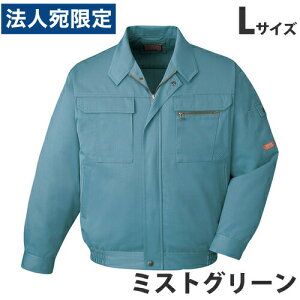 T/Cu]iH~pjL ~XgO[ 42000 ƕ ƒ jz[ Ȃ d  wsxwiꕔn揜jx