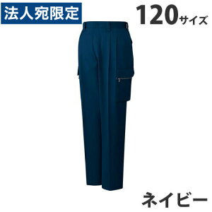 T/Cc[^bNJ[SpciH~pj120 lCr[ 42002 ƕ ƒ jz[ Ȃ d  wsx