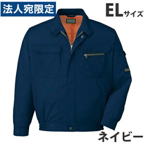 T/Cu]itėpjEL lCr[ 46200 ƕ ƒ jz[ Ȃ d  wsxwiꕔn揜jx