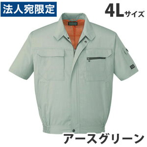 T/Cu]itėpj4L A[XO[ 46210 ƕ ƒ jz[ Ȃ d  wsxwiꕔn揜jx