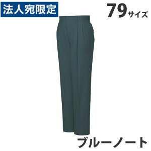 T/Cc[^bNpcitėpj79 u[m[g 46201 ƕ ƒ jz[ Ȃ d  wsx