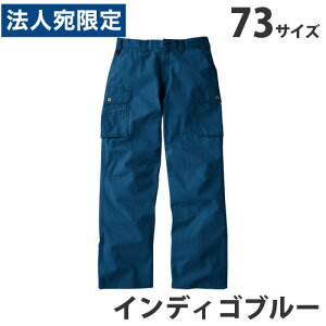 Jawin100m[^bNJ[SpciH~j73 CfBSu[ 51002 ƕ ƒ jz[ Ȃ d  wsxwiꕔn揜jx