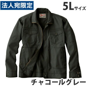 Jawin100Wp[itėpj5L `R[O[ 55000 ƕ ƒ jz[ Ȃ d  wsxwiꕔn揜jx