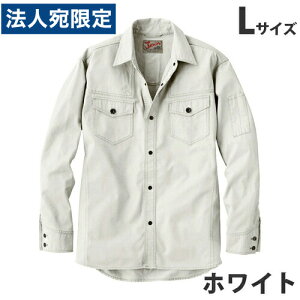 Jawin100VcitėpjL zCg 55004 ƕ ƒ jz[ Ȃ d  wsxwiꕔn揜jx